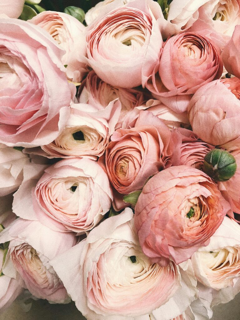 Fleurs Canals